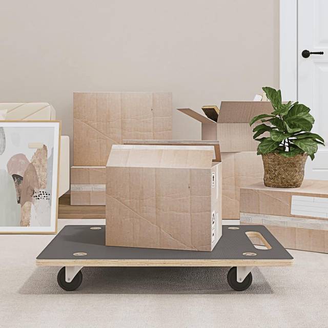 Billede af vidaXL dollyvogne 2 stk. 80x55x11,5 cm rektangulær