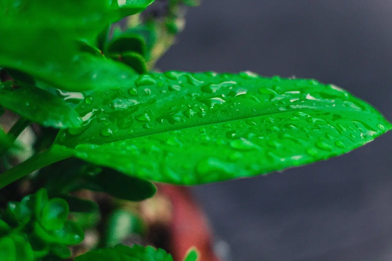 Hvilken diamantklinge skal du bruge i vinkelsliberen til armeret beton?