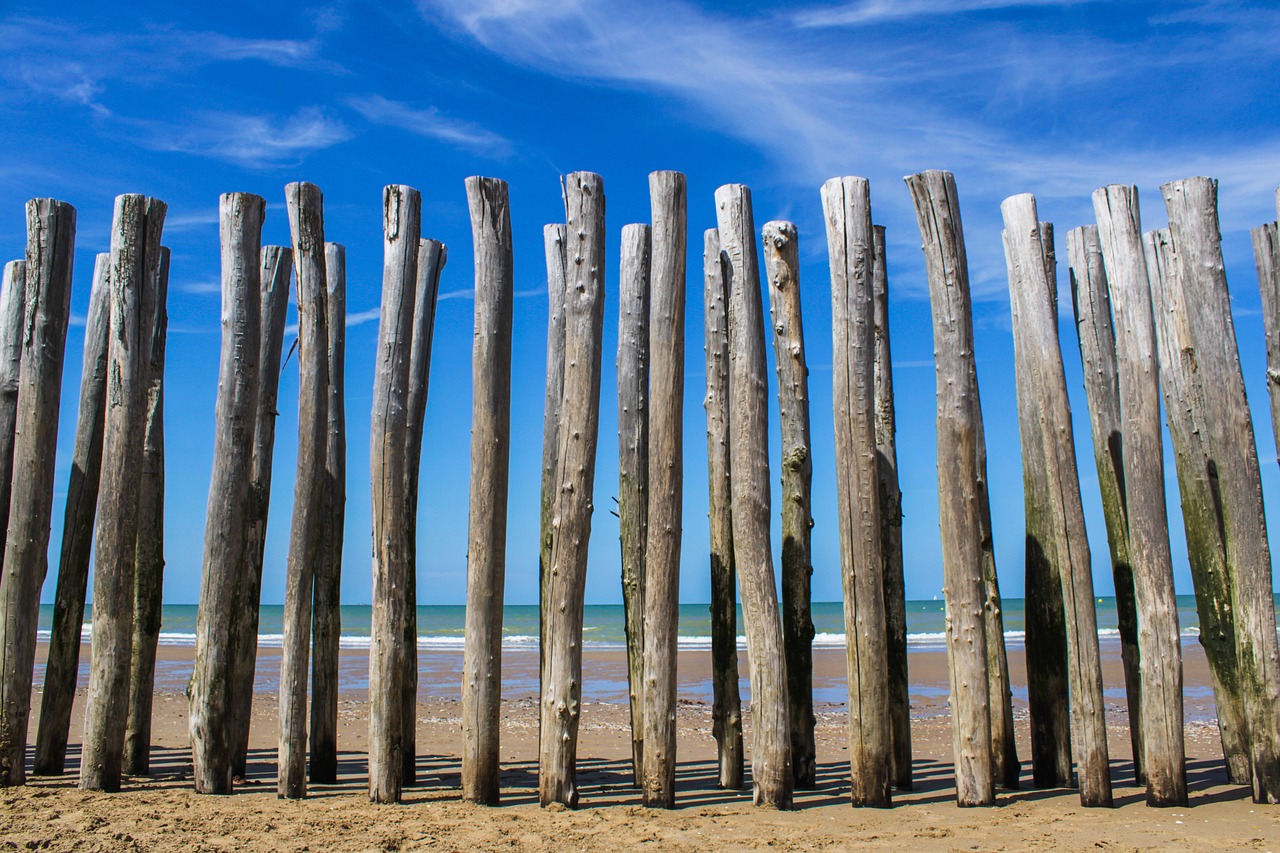 Plage Krydsord