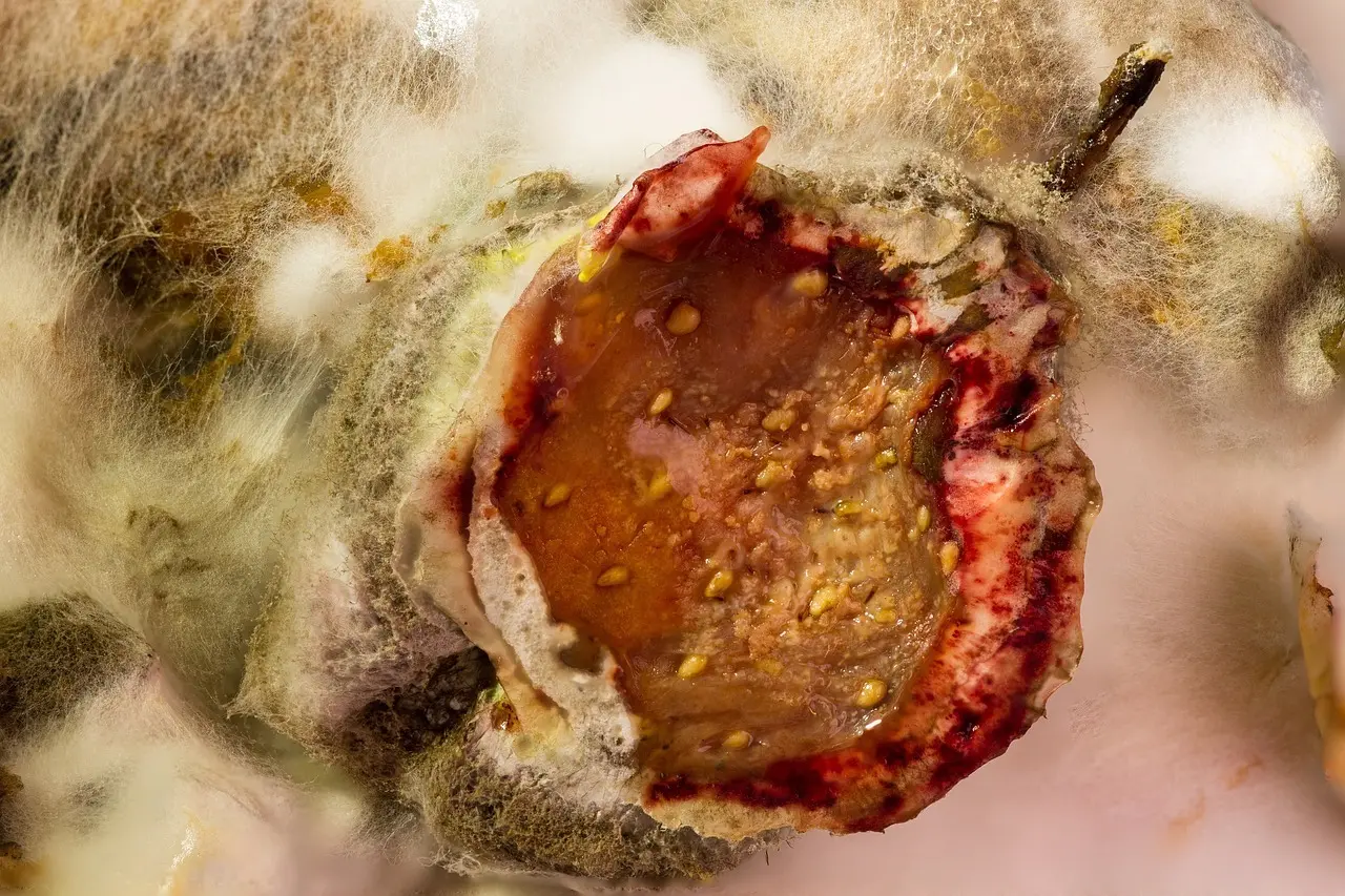 11 fejl du laver, når du fuger i vådrum